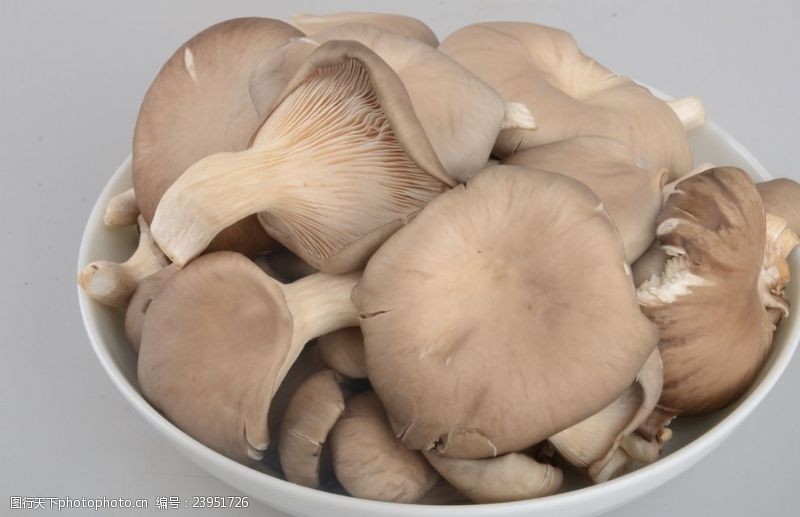 吃蘑菇能预防老年痴呆症?